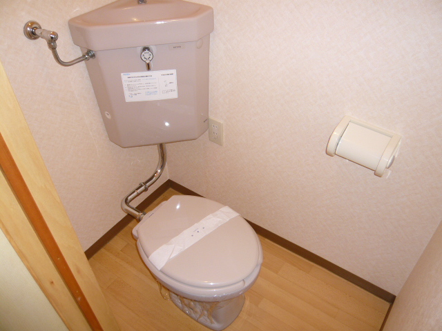 Toilet. Here also shiny ☆ 
