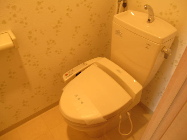 Toilet. Warm water washing toilet seat