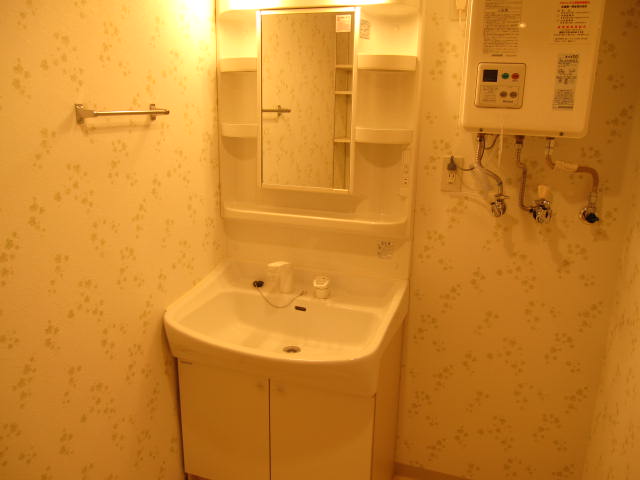 Washroom. Vanity shower