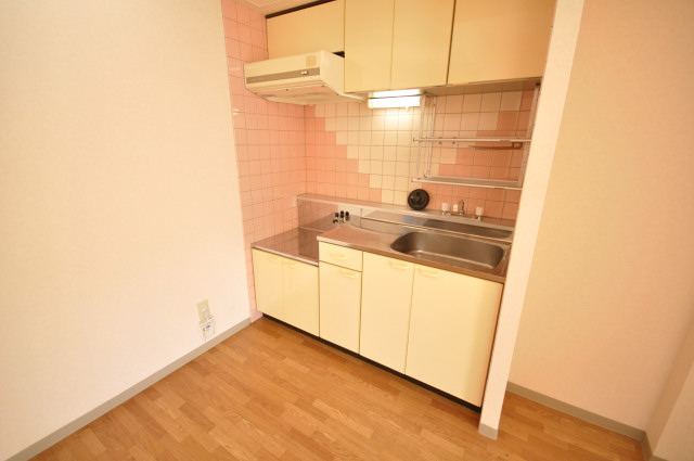 Kitchen. Clean kitchen