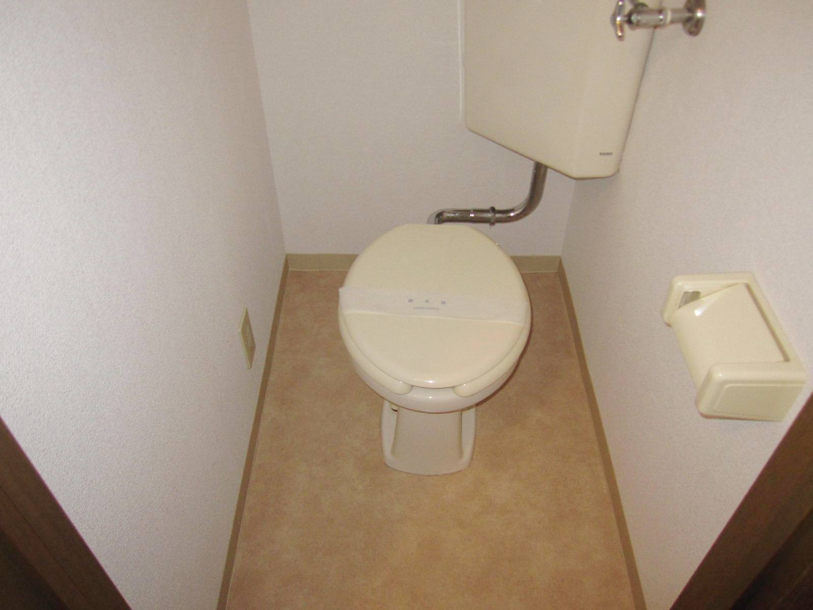 Toilet. Clean toilet