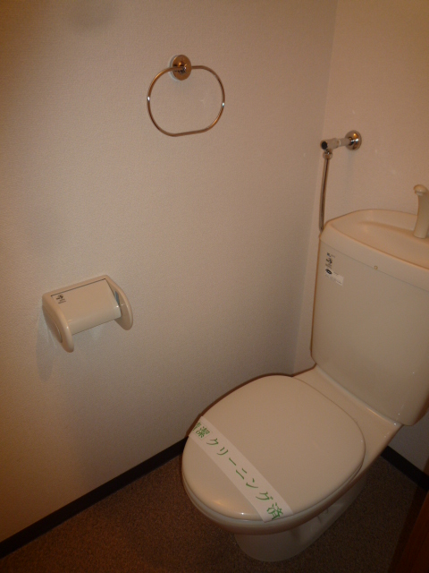 Toilet.  ※ Another Room No. reference photograph