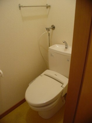 Toilet. Clean toilet with a bidet