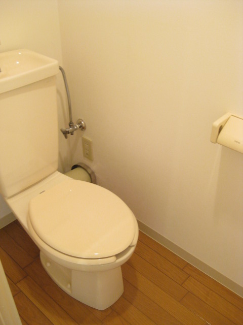 Toilet. Toilet is very simple! Izubesuto