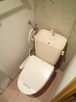 Toilet. Toilet