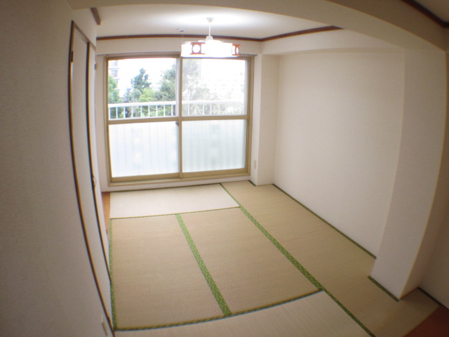 Living and room. Here is also a bright Japanese-style room