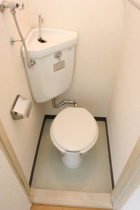 Toilet. For some reason it's space be relieved