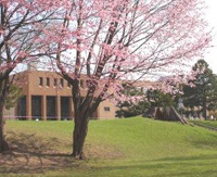 library. Hokkaido University 397m until the (library)