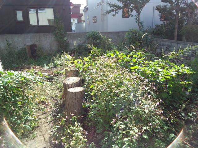 Local land photo. There is a depth, This is the back of the parking space. Guests can enjoy a home garden. Barbecue set also put in the room. 