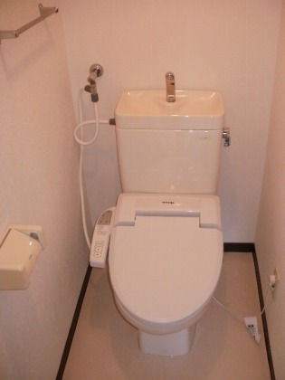 Toilet. Also has a bidet ☆ 