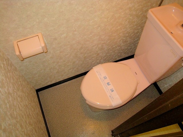 Toilet