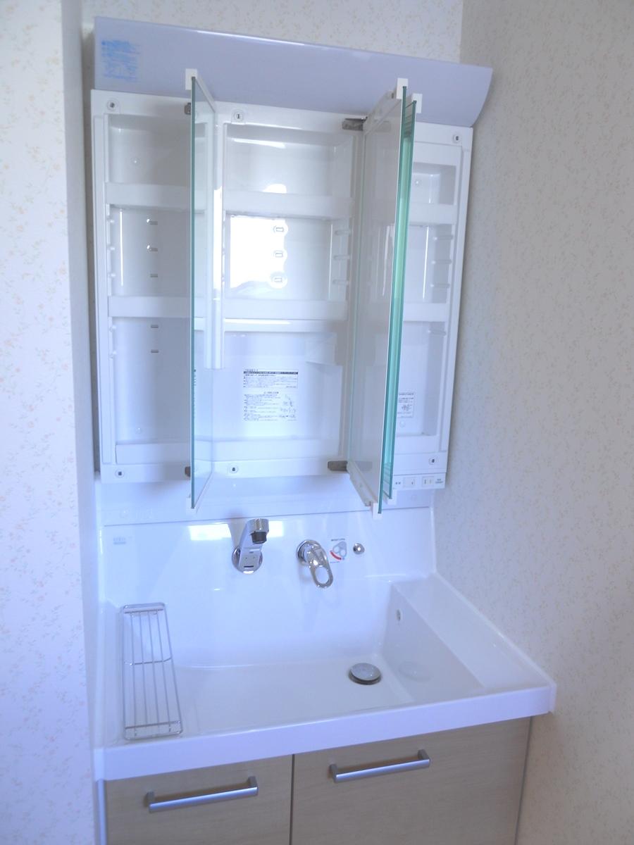 Wash basin, toilet. Indoor (12 May 2013) vanity shooting with shower.