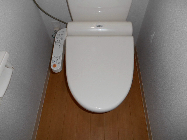 Toilet. Bidet