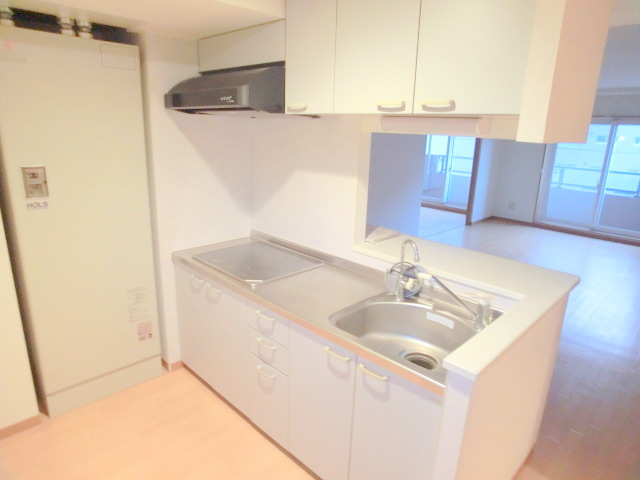 Kitchen. Usability good face-to-face type of kitchen.