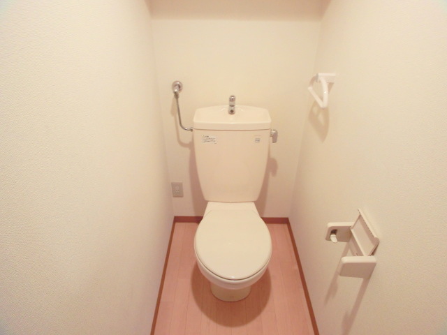 Toilet. It has been beautifully cleaned.