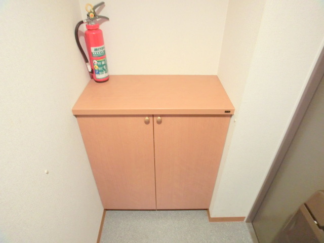 Entrance. There is also a shoe box.