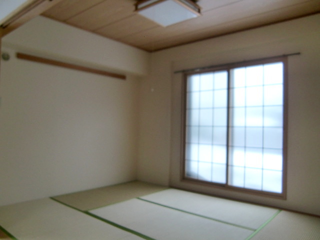 Other room space. Japanese style room