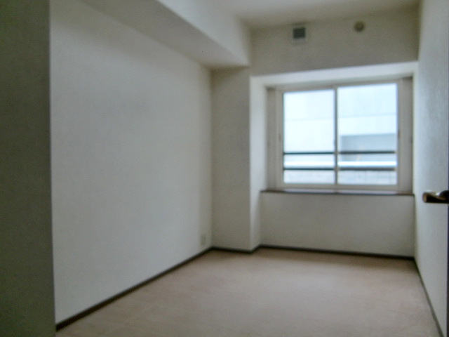 Other room space. Western style room