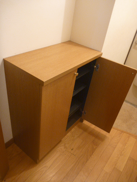 Entrance. Shoes BOX