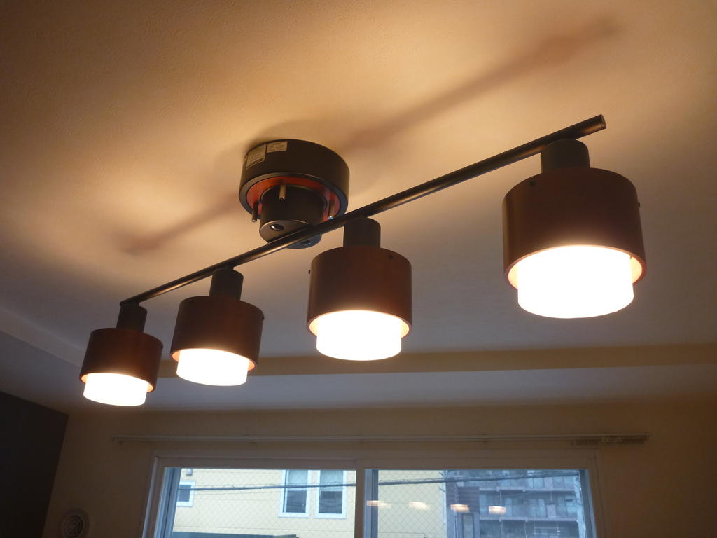 Other Equipment. Quadruple ceiling light