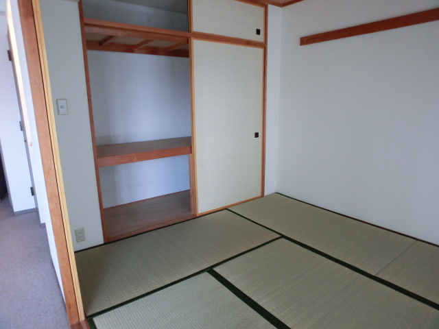 Other room space. Beautiful tatami of Western-style