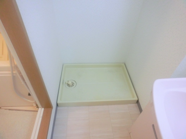 Washroom. Jewels washing machine Storage! !