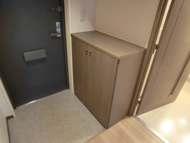 Entrance. It is spacious entrance.