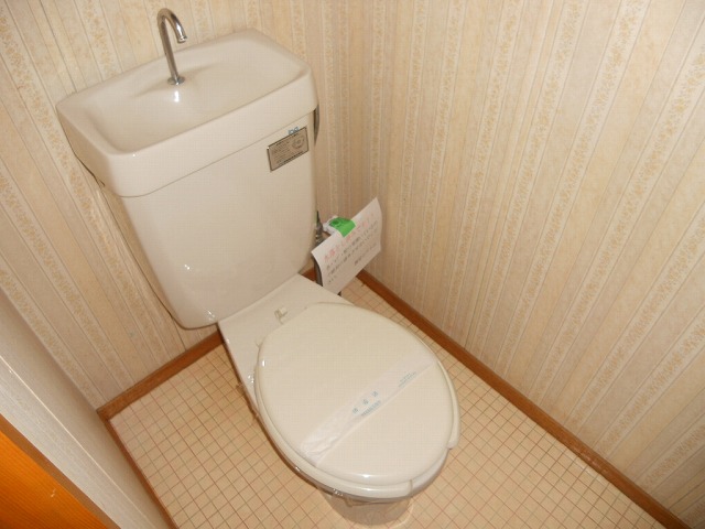 Toilet. It has been beautifully cleaned.