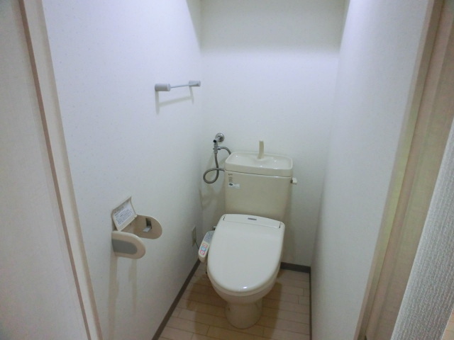 Toilet. It is with a shelf! 