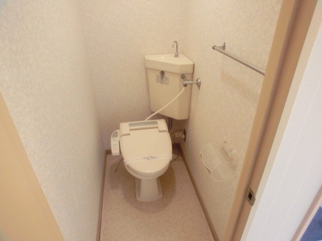 Toilet. Your toilet with a heated cleaning toilet seat!