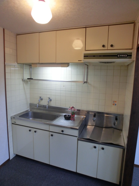 Kitchen. It is an independent type of kitchen.