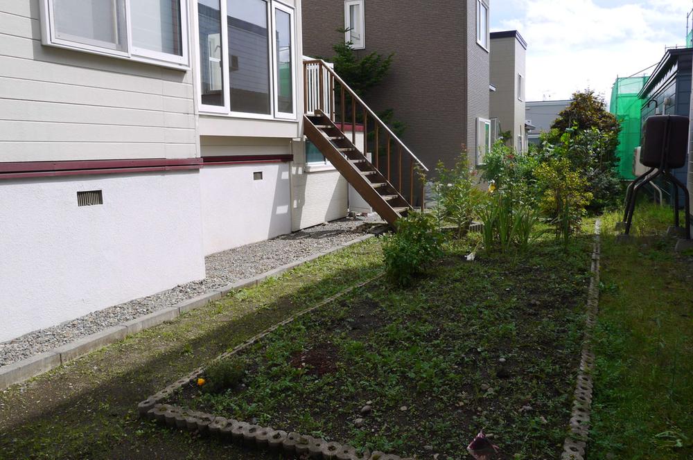 Garden. backyard