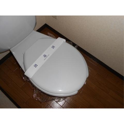 Toilet