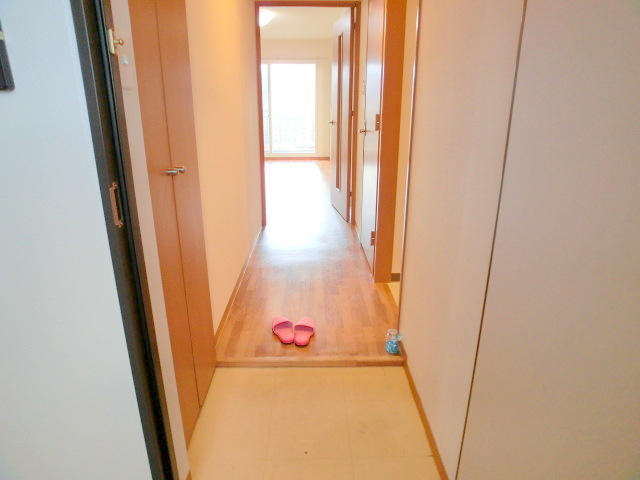Entrance. It is the entrance space with a breadth.
