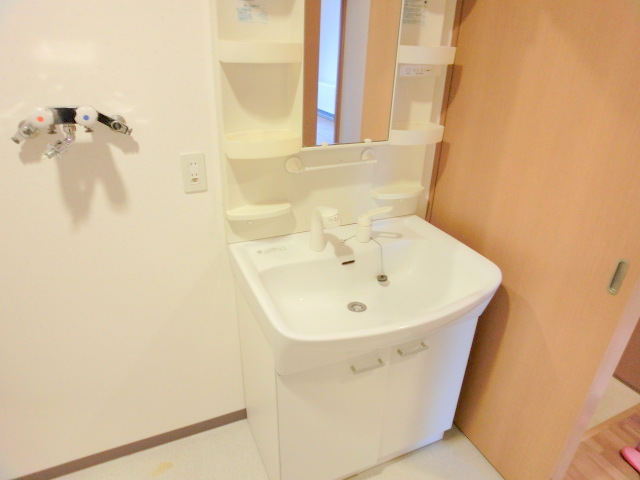 Washroom. Washing machine is put next to the vanity.