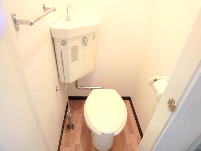 Toilet. It is a flush toilet! !
