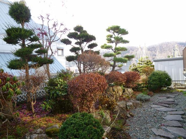 Garden. Nice Japanese garden