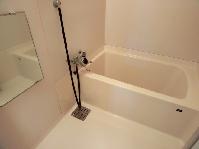 Bath. Spacious bathroom is attractive.