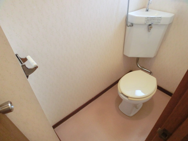 Toilet. It has been beautifully cleaned.