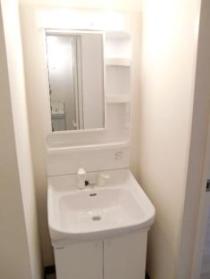 Washroom. Wash basin