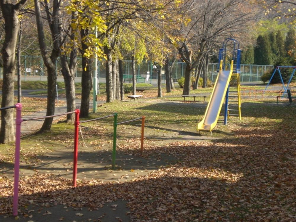 Other. Surrounding environment. Neighborhood park. 