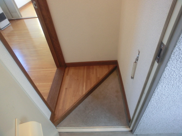 Entrance. There are shoes BOX