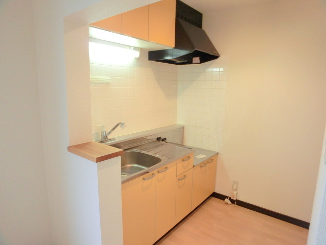 Kitchen. The kitchen has become an independent type.