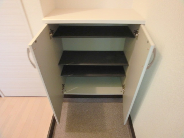 Entrance. There are shoe box and spacious.