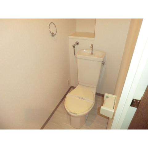 Toilet