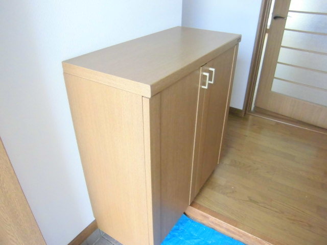 Entrance. ※ It is a photograph of the same by Property Room No.