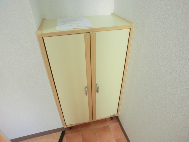 Other Equipment. Shoes with BOX!