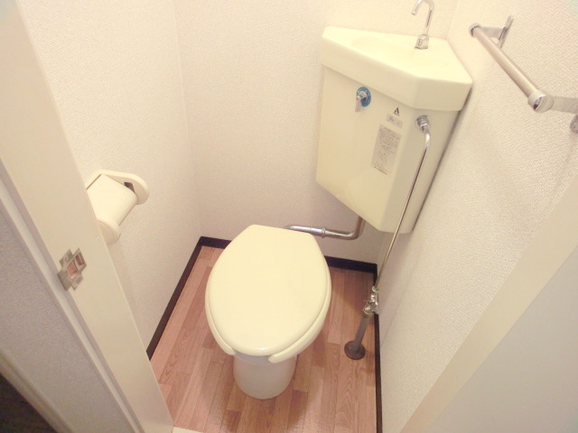 Toilet. It is a flush toilet! ! 