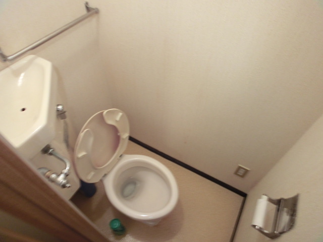 Toilet. It is with a shelf! 