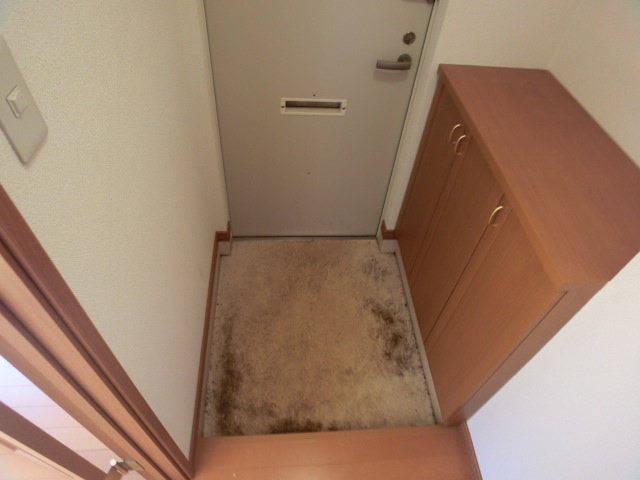 Entrance. Entrance with a shoebox!